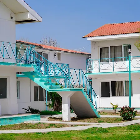 Vilele Delfin Guest house Costinesti