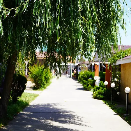 Guest house Vilele Delfin Costinesti