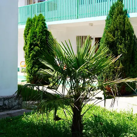 Vilele Delfin Guest house