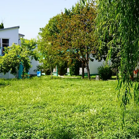Vilele Delfin Guest house