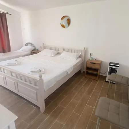 Vilele Delfin Guest house *