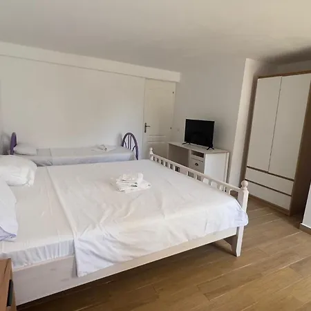 Vilele Delfin Costinești