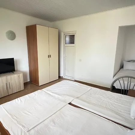 Vilele Delfin Guest house Costinesti